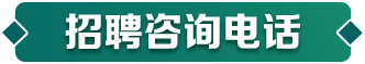 招聘咨询电话