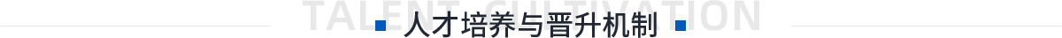 人才培养与晋升机制