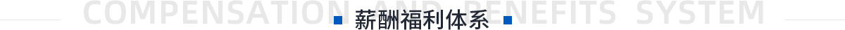 薪酬福利体系