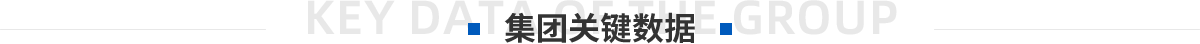 集团关键数据