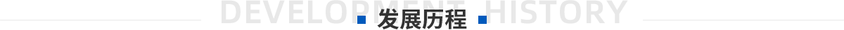 发展历程
