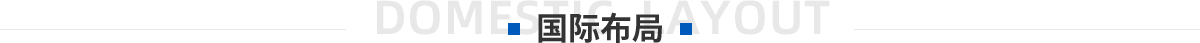 国内布局