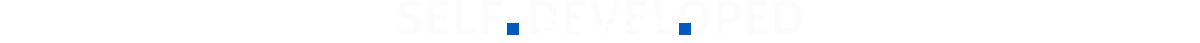 自主研发