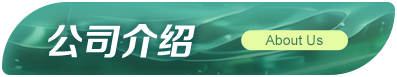 公司介绍